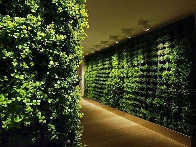 仿真植物墙 仿真植物墙